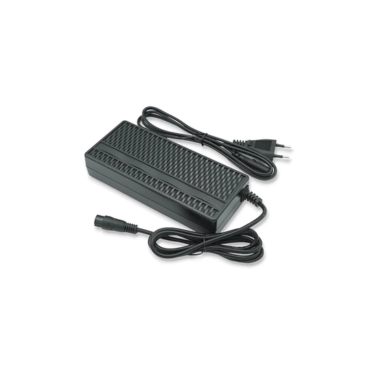 JOYOR T Series 60V2A Charger